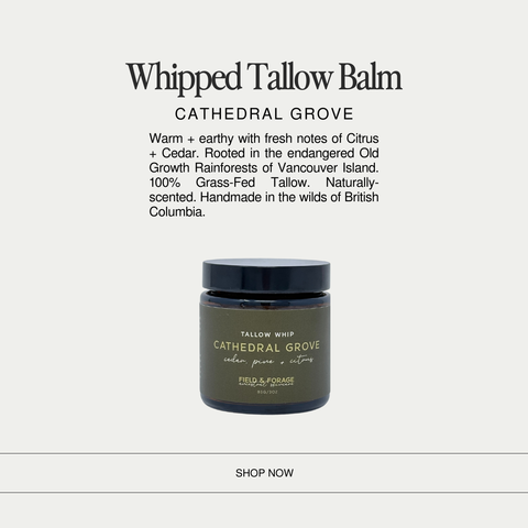 whipped tallow balm citrus cedar scented