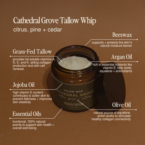 Cathedral Grove Whipped Tallow Balm | Cedar, Citrus & Pine Tallow Skincare