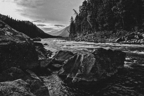 scents grounded in the canadian wilderness